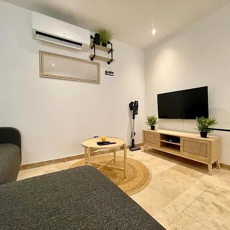 Le Saint-jean - Coeur De La Cite Medievale 公寓