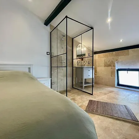 Le Saint-jean - Coeur De La Cite Medievale 公寓 卡尔卡松